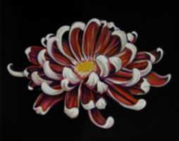 Free download Stas Korolov, Chrysanthemum, Oil On Canvas 62.5x 50 Cm, 2018 free photo or picture to be edited with GIMP online image editor