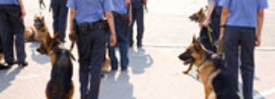 Free download Static Guarding free photo or picture to be edited with GIMP online image editor