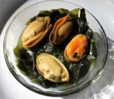 Free download Steamed New Zealand Greenshell Mussels free photo or picture to be edited with GIMP online image editor