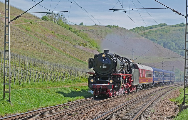 Free download steam locomotive vineyards free picture to be edited with GIMP free online image editor