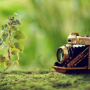 Steampunk Flora  screen for extension Chrome web store in OffiDocs Chromium