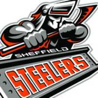 Free download Steelers free photo or picture to be edited with GIMP online image editor