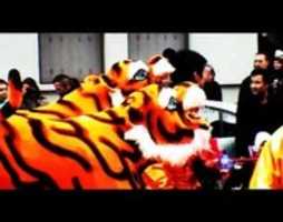 Free download Stefano Franco Bora 2010 Sociologie - China culture @ Paris : the Chinese new year of the tiger free photo or picture to be edited with GIMP online image editor