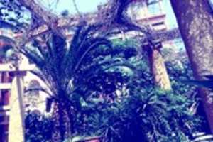 ດາວ​ໂຫຼດ​ຟຣີ Stefano Franco Bora 2012/17 Riviera asylium garden of hell ຮູບ​ພາບ​ຟຣີ​ຫຼື​ຮູບ​ພາບ​ທີ່​ຈະ​ໄດ້​ຮັບ​ການ​ແກ້​ໄຂ​ກັບ GIMP ອອນ​ໄລ​ນ​໌​ບັນ​ນາ​ທິ​ການ​ຮູບ​ພາບ
