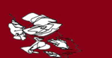 Free download stereonline free photo or picture to be edited with GIMP online image editor