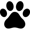 stereo paw  screen for extension Chrome web store in OffiDocs Chromium