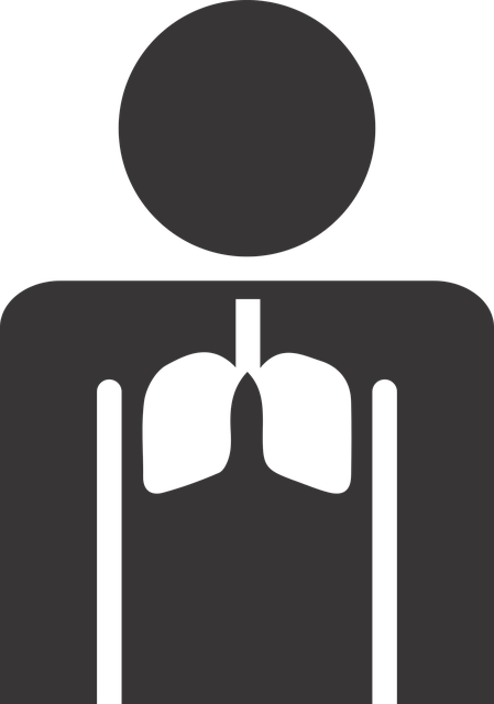 Скачать бесплатно Stick Figure Lungs - Бесплатная векторная графика на Pixabay, бесплатная иллюстрация для редактирования с помощью бесплатного онлайн-редактора изображений GIMP