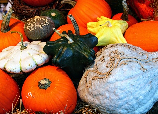 Unduh gratis Still Life Pumpkin Autumn - foto atau gambar gratis untuk diedit dengan editor gambar online GIMP