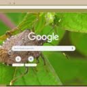 Stink Bug  screen for extension Chrome web store in OffiDocs Chromium