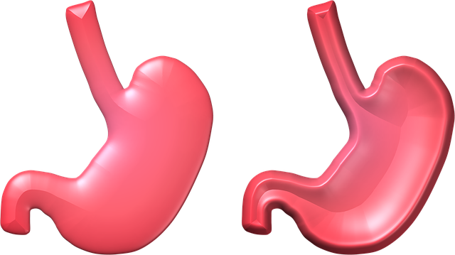 Free download Stomach Health Empty -  free illustration to be edited with GIMP free online image editor