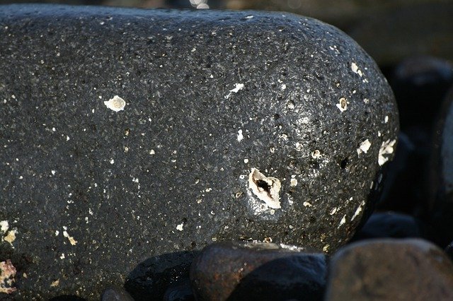 Free download Stone Form Whale -  free photo or picture to be edited with GIMP online image editor