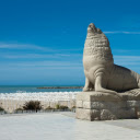 Stone Sea Lion  screen for extension Chrome web store in OffiDocs Chromium