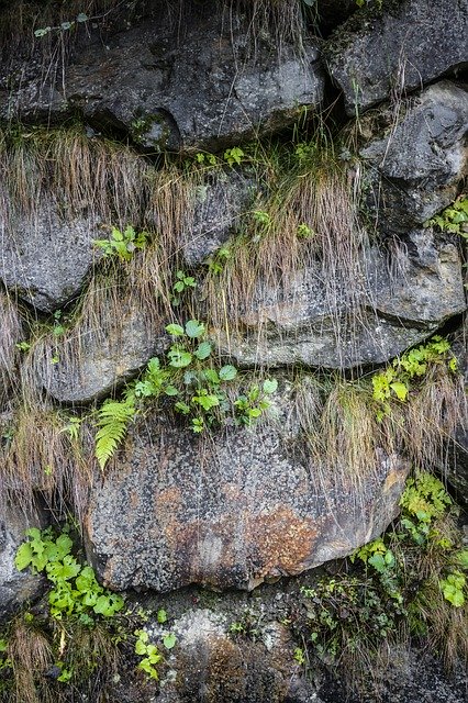 Free download Stones Grass Nature -  free photo or picture to be edited with GIMP online image editor