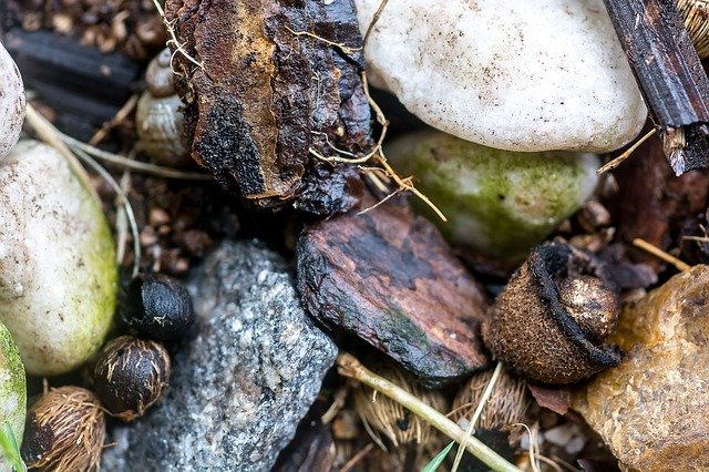 Muat turun percuma Stones Nature - foto atau gambar percuma untuk diedit dengan editor imej dalam talian GIMP