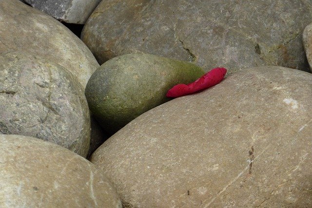 أحجار قالب الصورة Petal Rosenblatt - لـ OffiDocs