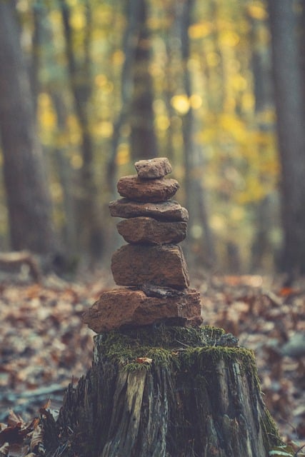 Free download stones trees wood dry fall tribe free picture to be edited with GIMP free online image editor