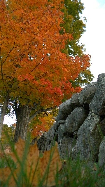 Free download Stone Wall Fall Foliage Autumn -  free free photo or picture to be edited with GIMP online image editor