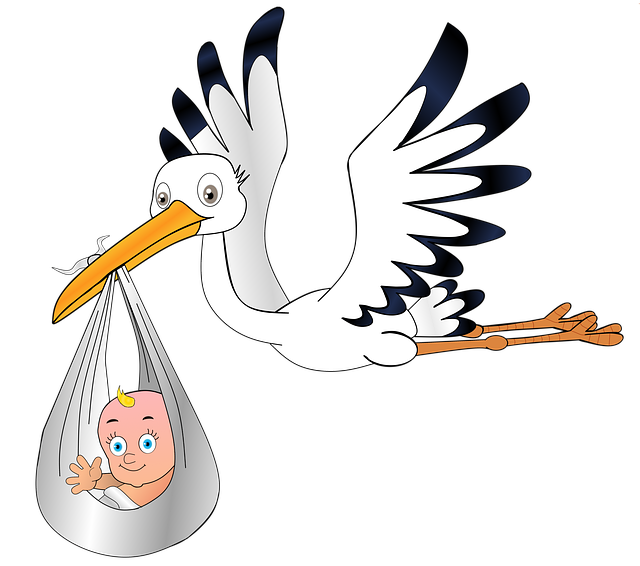 Free download Stork Baby Birth -  free illustration to be edited with GIMP free online image editor