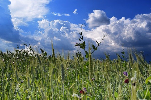 Free download Storm Cloud Silence Nature -  free photo or picture to be edited with GIMP online image editor