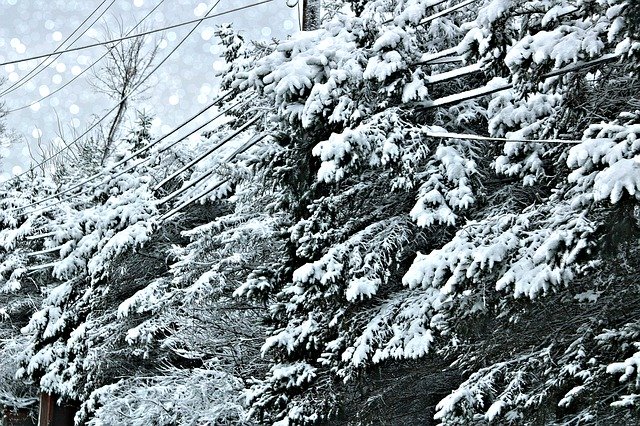 Descarga gratuita Storm Snow 2019: foto o imagen gratuita para editar con el editor de imágenes en línea GIMP