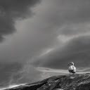Stormy bird  screen for extension Chrome web store in OffiDocs Chromium