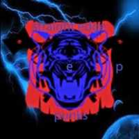 Free download Straight Edge Punks Winged Tiger Logo 2014-2019 free photo or picture to be edited with GIMP online image editor