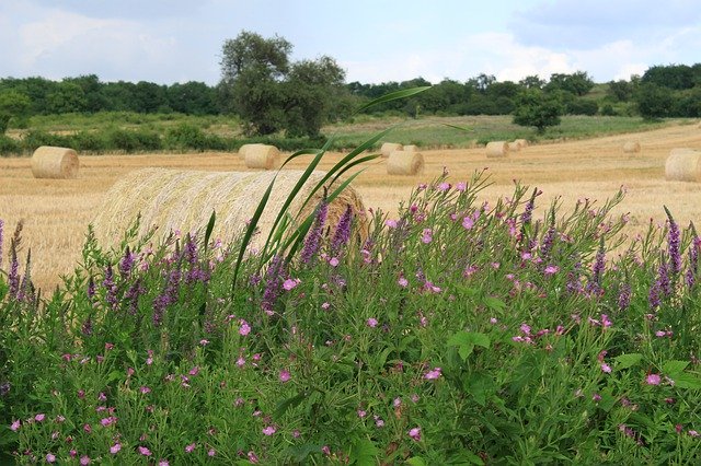 Free download Straw Bale -  free photo or picture to be edited with GIMP online image editor