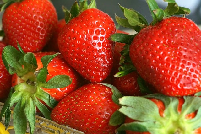 Free download strawberries fruit food red fruit free picture to be edited with GIMP free online image editor