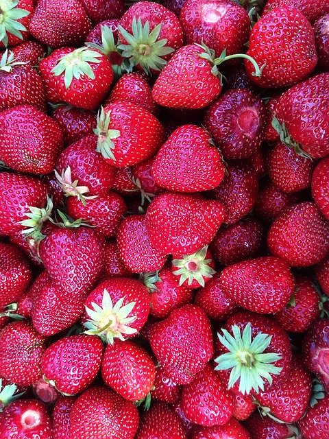 ดาวน์โหลดฟรี Strawberries Fruit Harvest - รูปถ่ายหรือรูปภาพฟรีที่จะแก้ไขด้วยโปรแกรมแก้ไขรูปภาพออนไลน์ GIMP