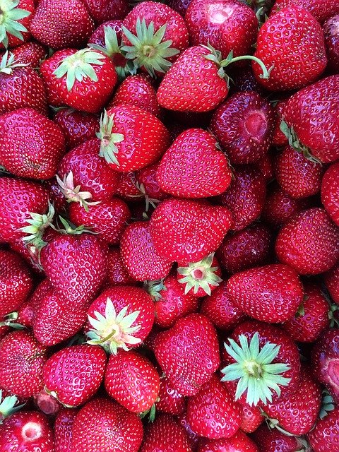 ດາວໂຫຼດຟຣີ Strawberries Fruit Harvest - ຮູບພາບຫຼືຮູບພາບທີ່ບໍ່ເສຍຄ່າເພື່ອແກ້ໄຂດ້ວຍຕົວແກ້ໄຂຮູບພາບອອນໄລນ໌ GIMP