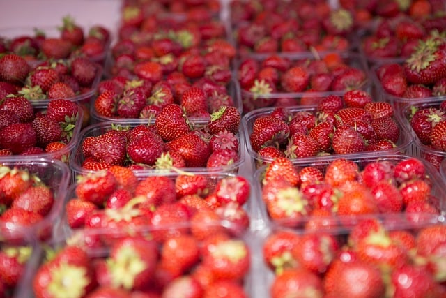 Free download strawberries fruits food red fruits free picture to be edited with GIMP free online image editor