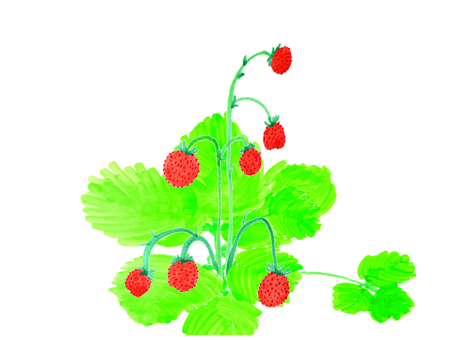 Free download Strawberries Watercolor -  free illustration to be edited with GIMP free online image editor