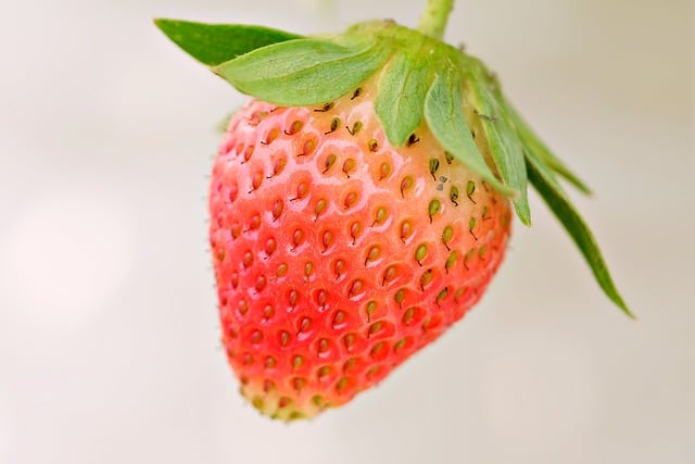 Free download strawberry fruit fresh edible food free picture to be edited with GIMP free online image editor