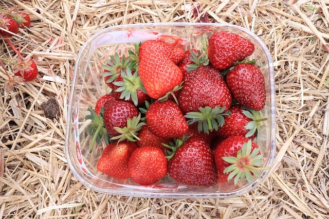 Free download Strawberry Fruits Food -  free photo or picture to be edited with GIMP online image editor