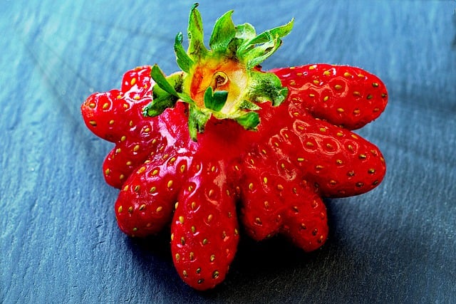 Free download strawberry juicy fruit nature free picture to be edited with GIMP free online image editor