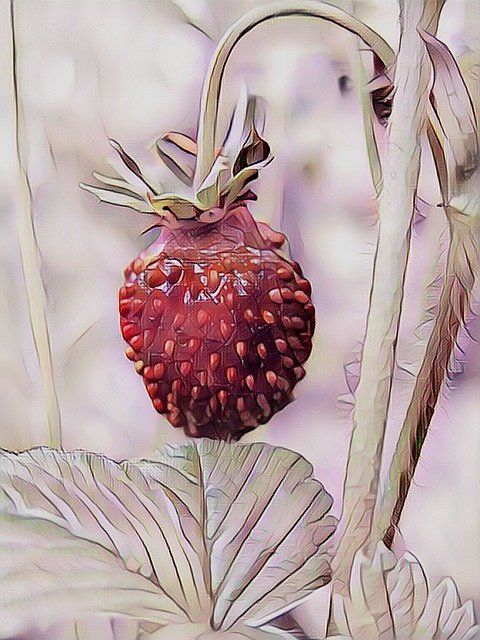 Free download Strawberry Pastel Digital Drawing -  free illustration to be edited with GIMP free online image editor
