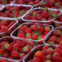 Strawberry tray  screen for extension Chrome web store in OffiDocs Chromium