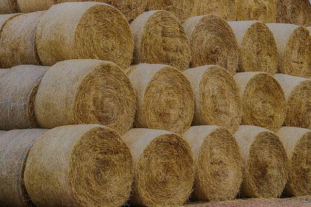 Free picture Straw Bundle Fields -  to be edited by GIMP free image editor by OffiDocs