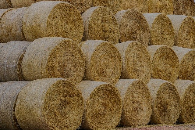 Descărcare gratuită Straw Bundle Fields - fotografie sau imagini gratuite pentru a fi editate cu editorul de imagini online GIMP