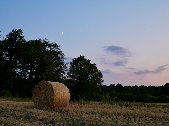 Free download Straw Harvest Field Agriculture -  free photo or picture to be edited with GIMP online image editor