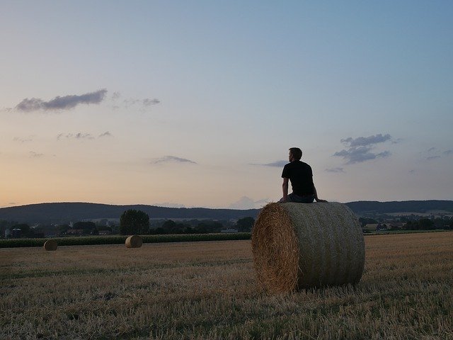 Muat turun percuma Straw Harvest Sunset Rural - foto atau gambar percuma untuk diedit dengan editor imej dalam talian GIMP