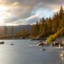 Stream and Forest  screen for extension Chrome web store in OffiDocs Chromium