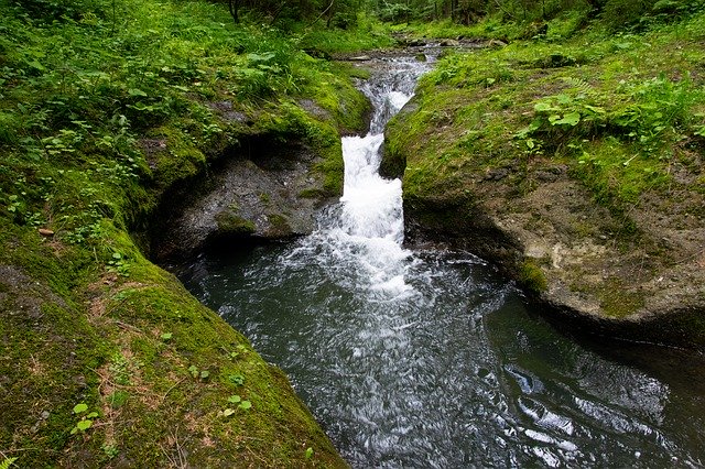 Free download Stream Beskydy Czech Republic -  free photo or picture to be edited with GIMP online image editor