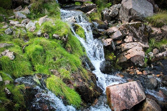 Free download Stream Fresh Water Nature -  free photo or picture to be edited with GIMP online image editor