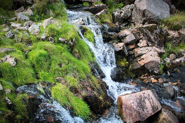 הורדה חינם Stream Water Fresh Nature - תמונה או תמונה בחינם לעריכה עם עורך התמונות המקוון GIMP