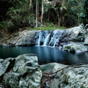 Stream in the forest  screen for extension Chrome web store in OffiDocs Chromium