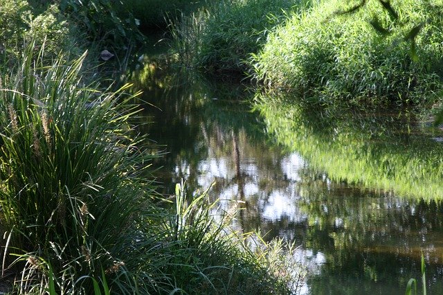 ดาวน์โหลดฟรี Stream Meander Australia - ภาพถ่ายหรือรูปภาพฟรีที่จะแก้ไขด้วยโปรแกรมแก้ไขรูปภาพออนไลน์ GIMP