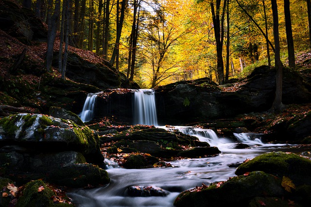 Free download stream river rocky stream forest free picture to be edited with GIMP free online image editor