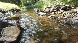 Free download Stream Running Water Soothing -  free video to be edited with OpenShot online video editor