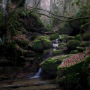 streams and mossy rocks  screen for extension Chrome web store in OffiDocs Chromium